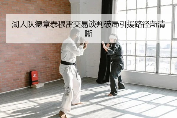 湖人队德章泰穆雷交易谈判破局引援路径渐清晰
